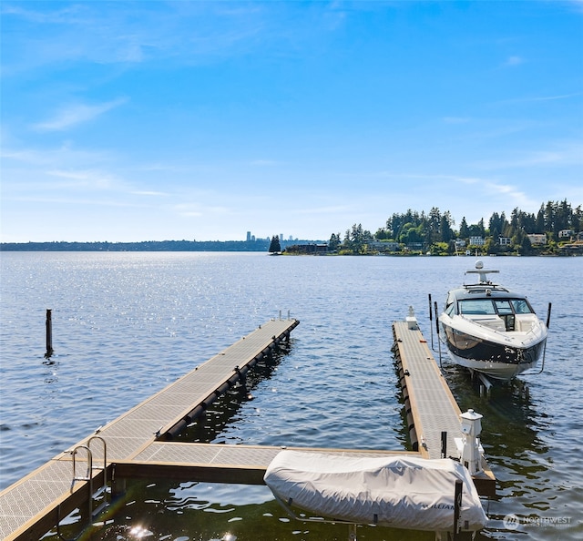 dock area with a water view