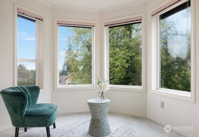 living area featuring ornamental molding, carpet, and a healthy amount of sunlight