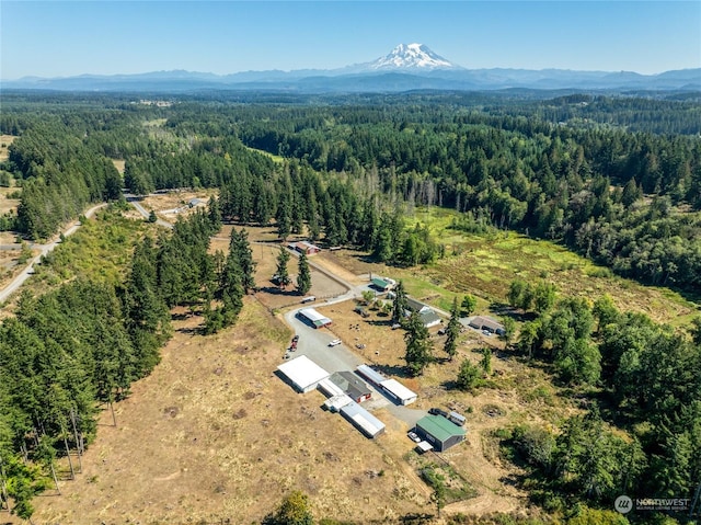 bird's eye view featuring a mountain view and a forest view