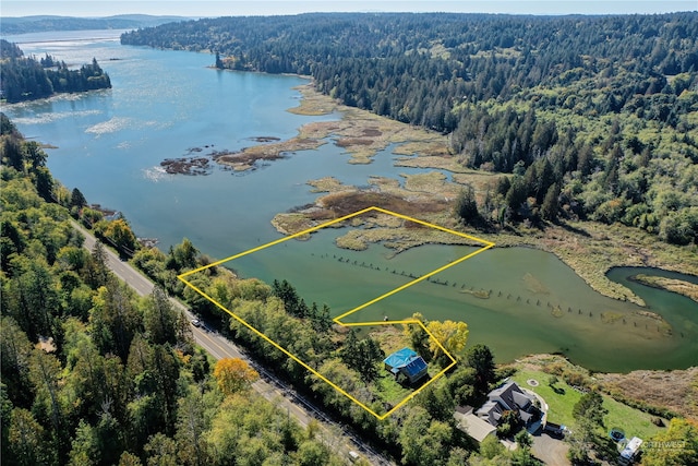 bird's eye view with a water view