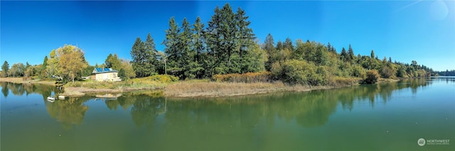 15086 Burley Ave SE, Port Orchard, WA 98367 - photo 2