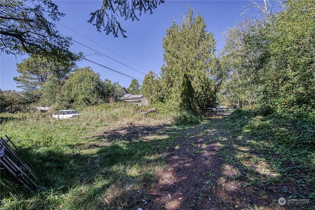 15086 Burley Ave SE, Port Orchard, WA 98367 - photo 8