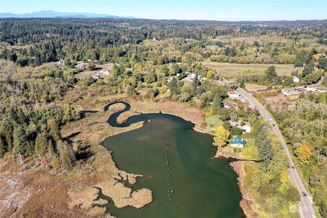 15086 Burley Ave SE, Port Orchard, WA 98367 - photo 16