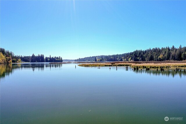 15086 Burley Ave SE, Port Orchard, WA 98367 - photo 20