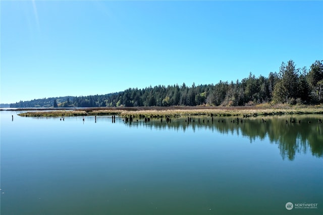 view of water feature