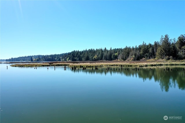 15086 Burley Ave SE, Port Orchard, WA 98367 - photo 21