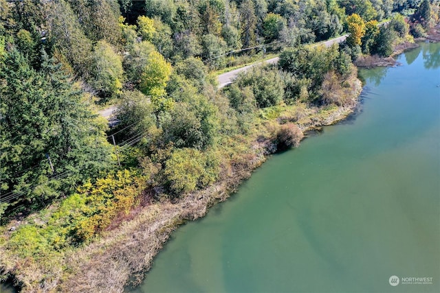 15086 Burley Ave SE, Port Orchard, WA 98367 - photo 22