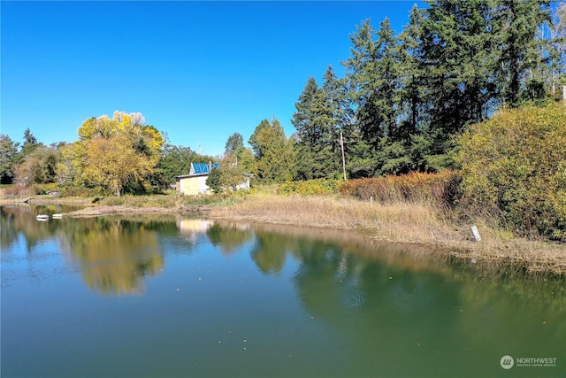 15086 Burley Ave SE, Port Orchard, WA 98367 - photo 24