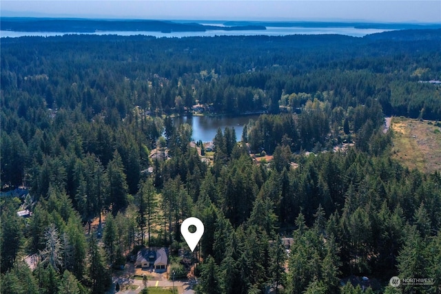 birds eye view of property featuring a water view and a forest view