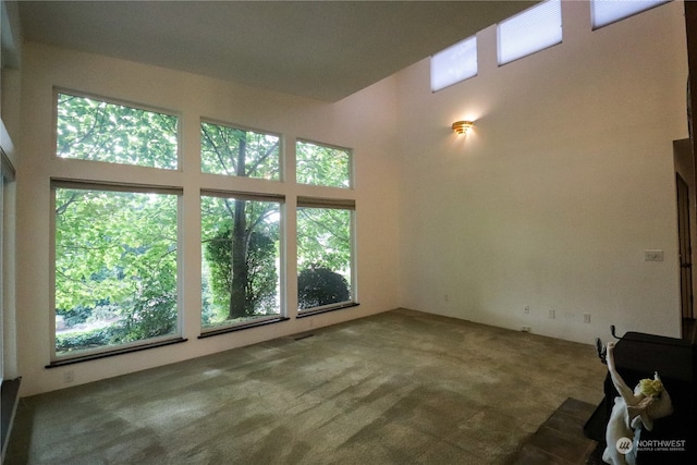 empty room featuring a wealth of natural light and carpet floors