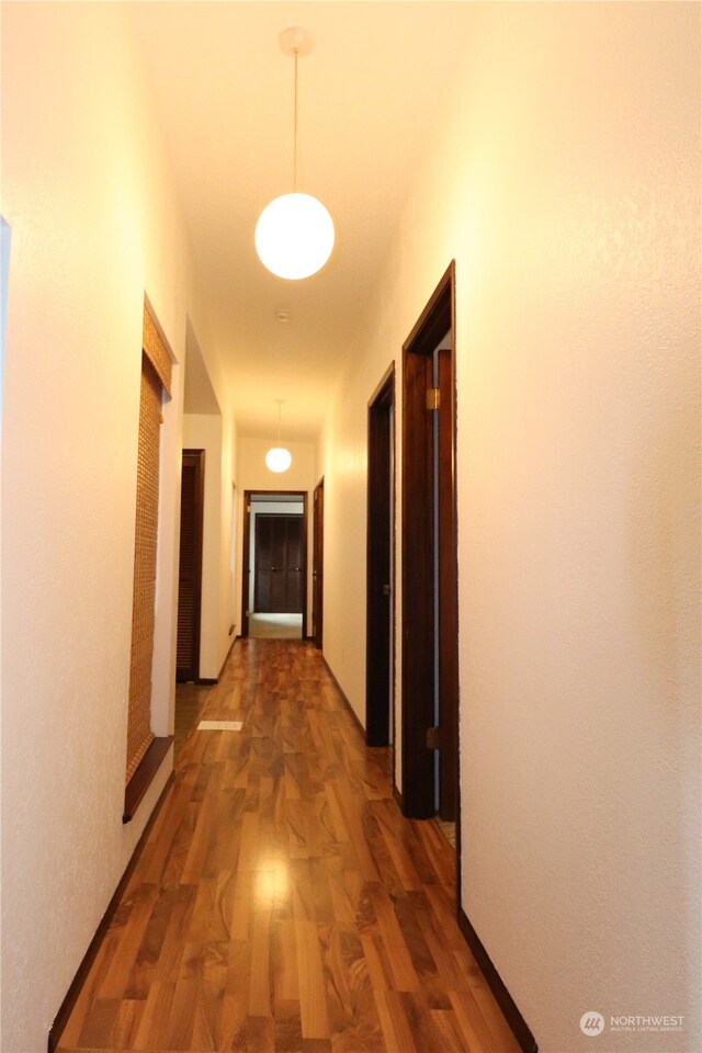 hallway with dark wood-type flooring