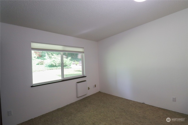 carpeted spare room with a textured ceiling