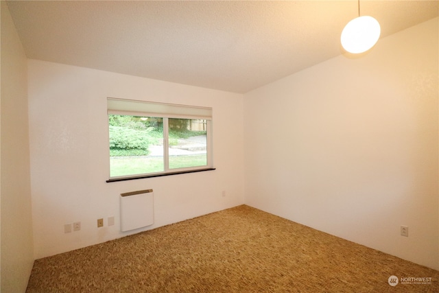 unfurnished room featuring radiator and carpet floors