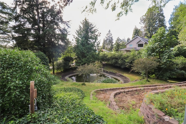 view of yard featuring a small pond