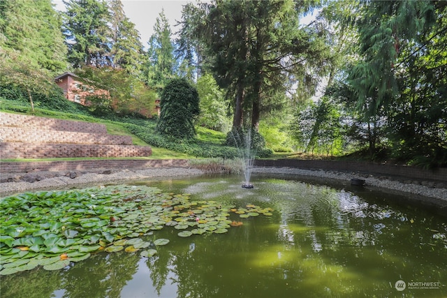 exterior space with a small pond