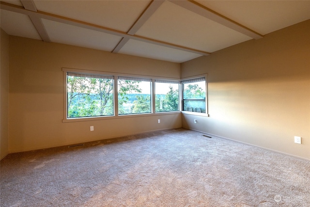 carpeted spare room with plenty of natural light