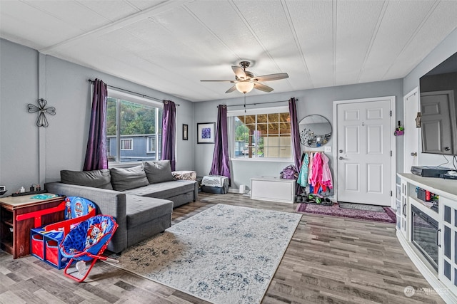 living room featuring ceiling fan, a textured ceiling, and wood finished floors