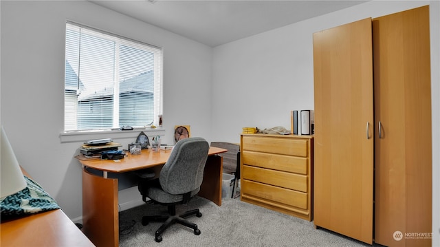 view of carpeted home office