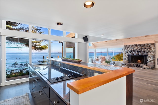 kitchen with plenty of natural light, a water view, and hardwood / wood-style floors