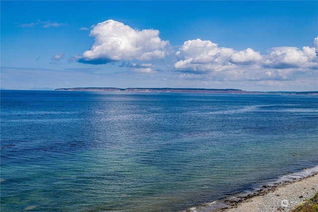 property view of water featuring a view of the beach