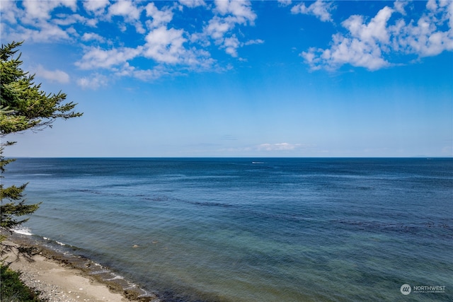 view of water feature featuring a view of the beach