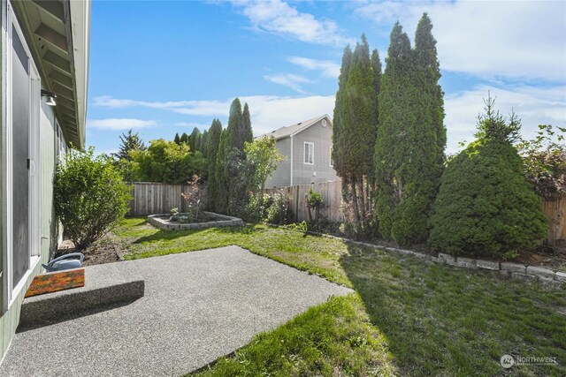 view of yard with a patio and a fenced backyard