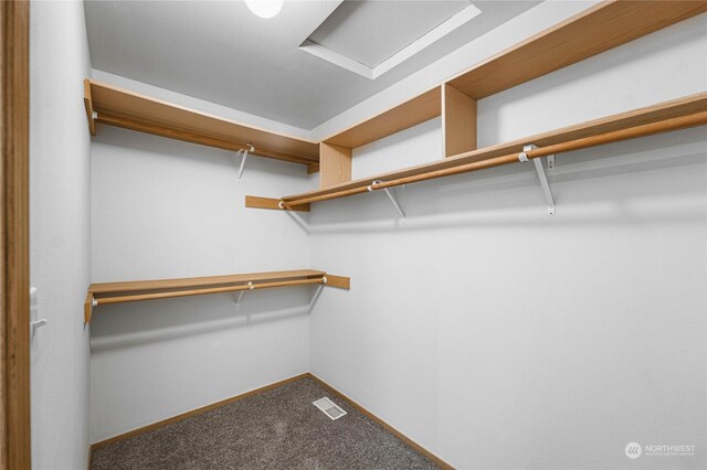 spacious closet featuring carpet floors, visible vents, and attic access