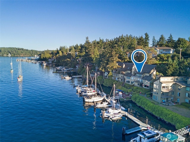 241 Warbass Way Unit A303, Friday Harbor, WA 98250 - water view with a dock