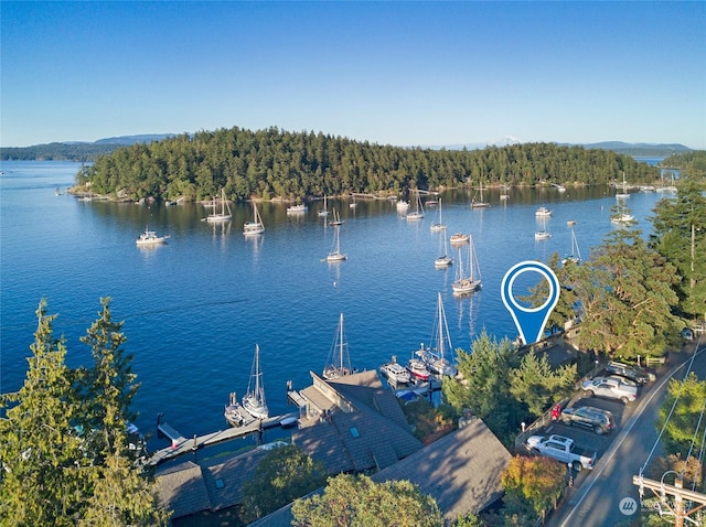 241 Warbass Way Unit A303, Friday Harbor, WA 98250 - water view with a dock and boat lift