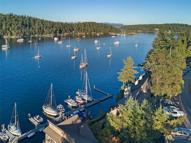 birds eye view of property featuring a water view