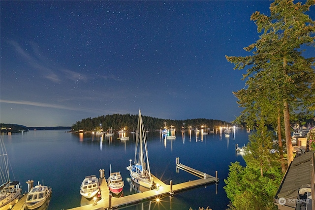 dock area featuring a water view