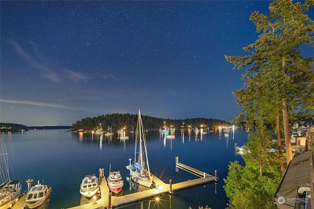 241 Warbass Way Unit A303, Friday Harbor, WA 98250 - dock featuring a water view