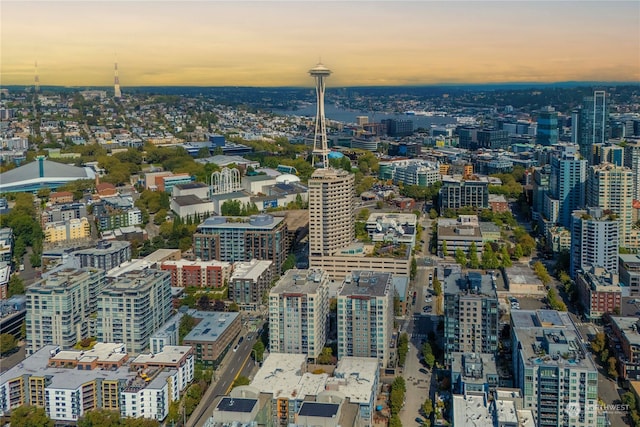 property's view of city