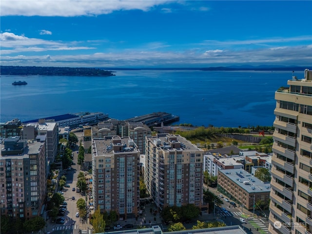 aerial view with a water view