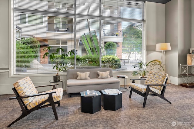 sitting room with carpet floors