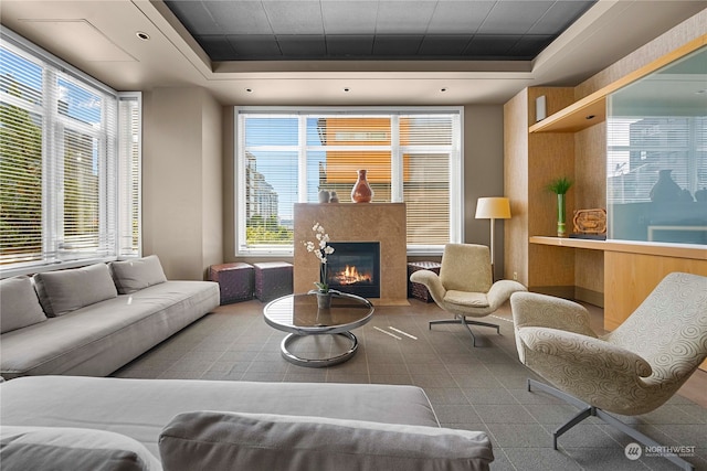 living room featuring a wealth of natural light and a raised ceiling