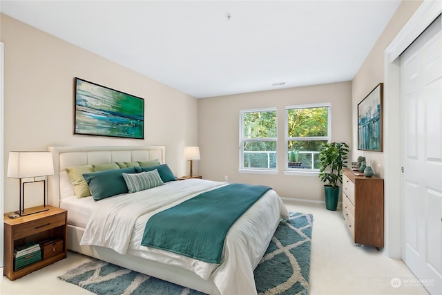 carpeted bedroom featuring a closet