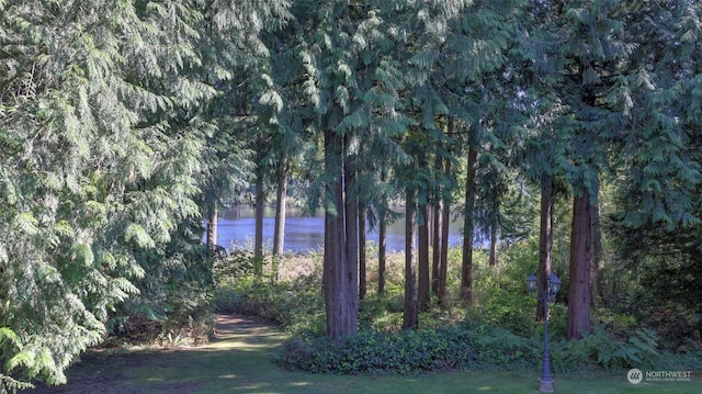 view of yard featuring a water view