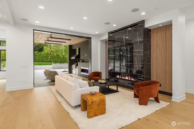 living room with light hardwood / wood-style floors and a fireplace