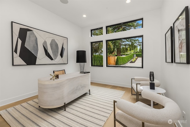 home office featuring light hardwood / wood-style flooring