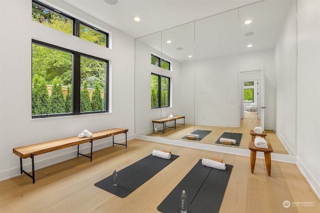 workout area featuring plenty of natural light and light hardwood / wood-style flooring