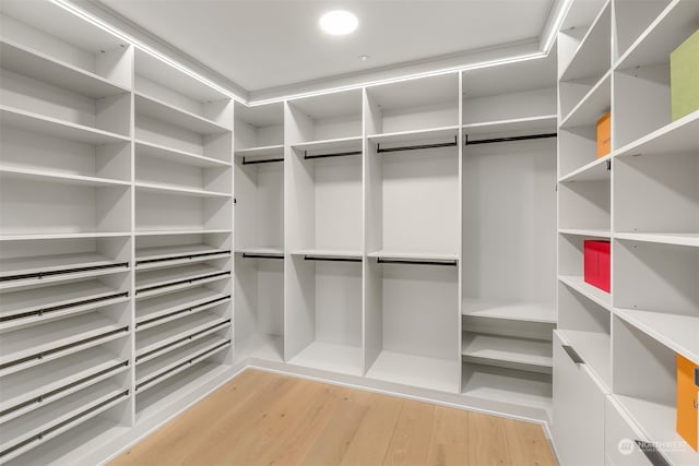 spacious closet with light hardwood / wood-style floors