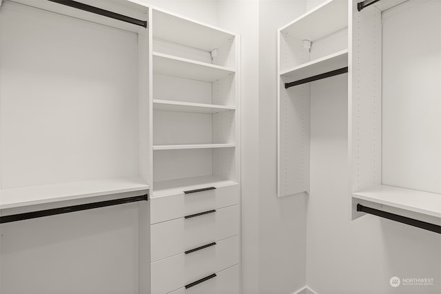 view of walk in closet