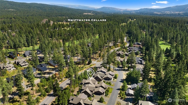 73 Sweet Shop Ln, Cle Elum, WA 98922 - bird's eye view featuring a forest view, a residential view, and a mountain view
