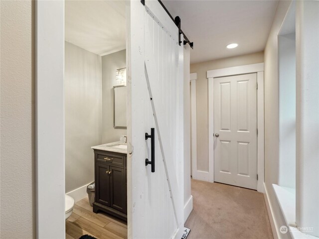 bathroom with vanity, wood-type flooring, and toilet