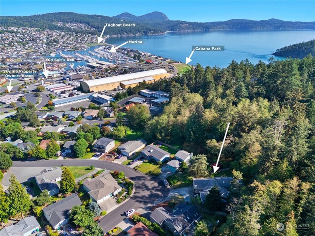 birds eye view of property featuring a water and mountain view