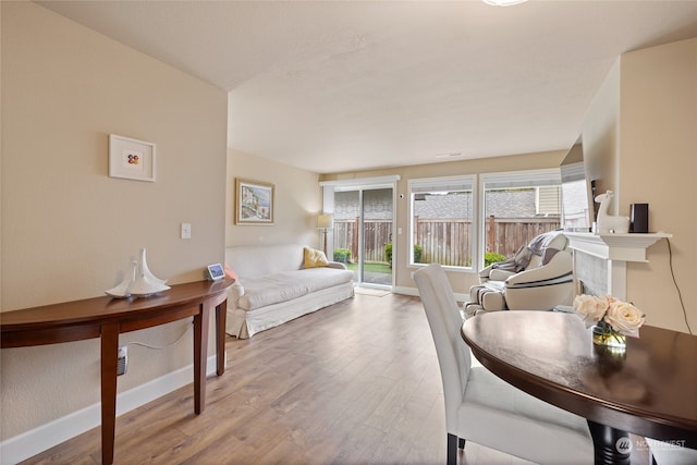 living room featuring hardwood / wood-style floors