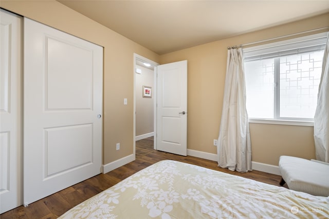 bedroom featuring dark wood-type flooring