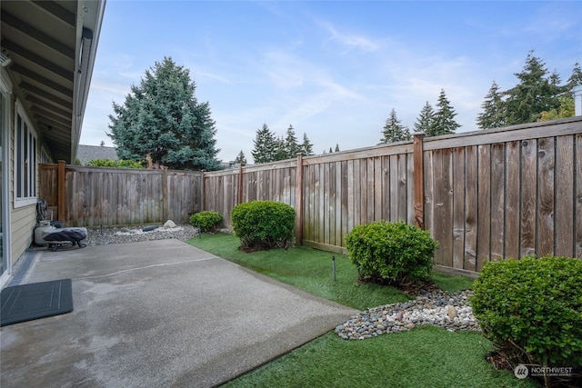 view of yard with a patio