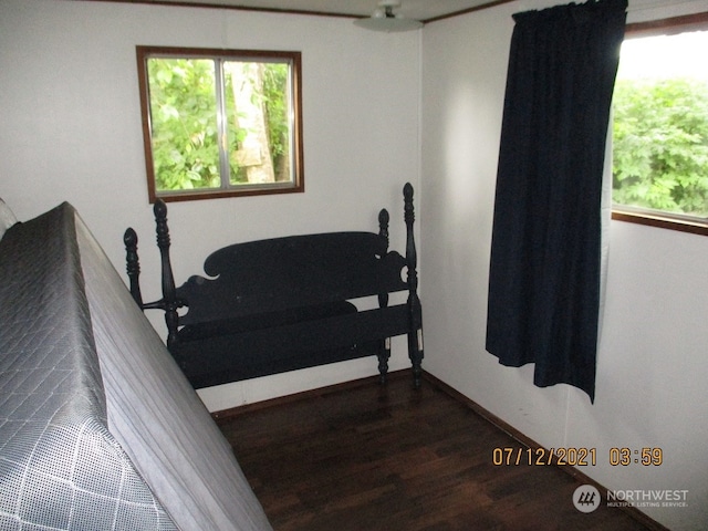 bedroom featuring dark wood-type flooring